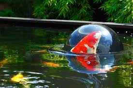 Velda Floating Fish Dome 36cm