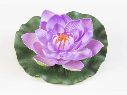 Floare de nufăr, Floare de nufăr roz plutitoare, Floare de nufăr roz plutitoare 1