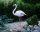 vand figuri de animal, animal salbatic vanzare, Flamingo 90cm