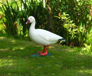vand figuri de animal, animal salbatic vanzare, vand rata masculin, Gasca alb 55cm