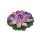 Nufar plastic mare 28cm Liliac