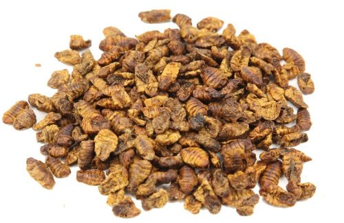 Viermi de matase uscate (10Kg)