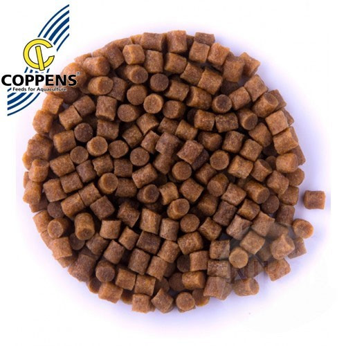 Coppens Coarse Scufundabil, Coarse Scufundabil 4.5mm