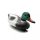 vand figuri de animal, animal salbatic vanzare, vand rata masculin