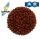 Coppens Astrax Pellet 6mm, Hrana Coppens Astrax Pellet
