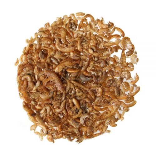 Larve rac gammarus uscat (1Kg)