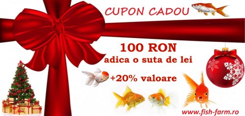 Cupon Cadou
