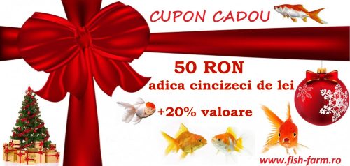 Cupon Cadou