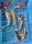 Koi Handpick 30-35cm