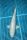 Koi Handpick 40-45cm (2)