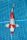 Koi Handpick 40-45cm (7)