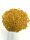 Hrana Pellet 4, 5mm (1Kg), Hrana caras, hrana crap, Hrana pentru pesti de iazuri, hrana plutitoare si hrana scufun, Hrana pentru pesti, hrana scufundabila, hrana plutitoare, hrana coppens, hrana growe